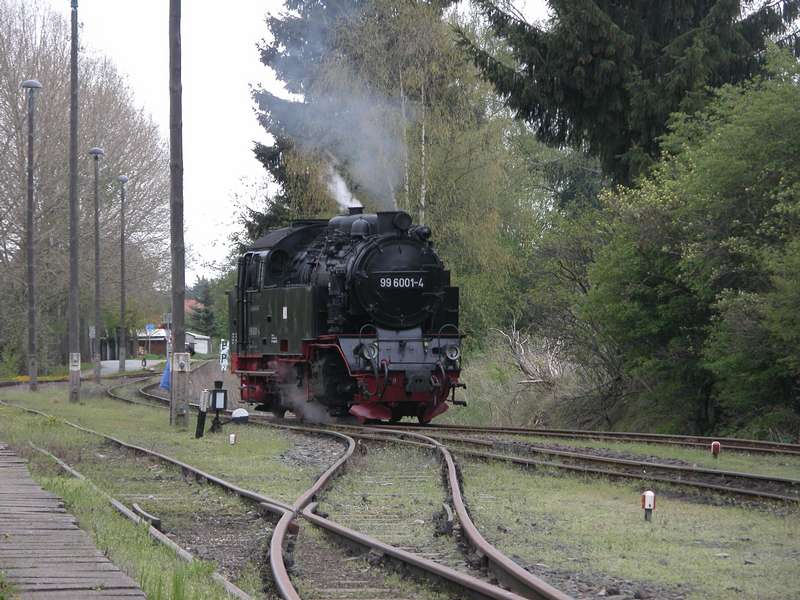 99-6001 in Hasselfelde