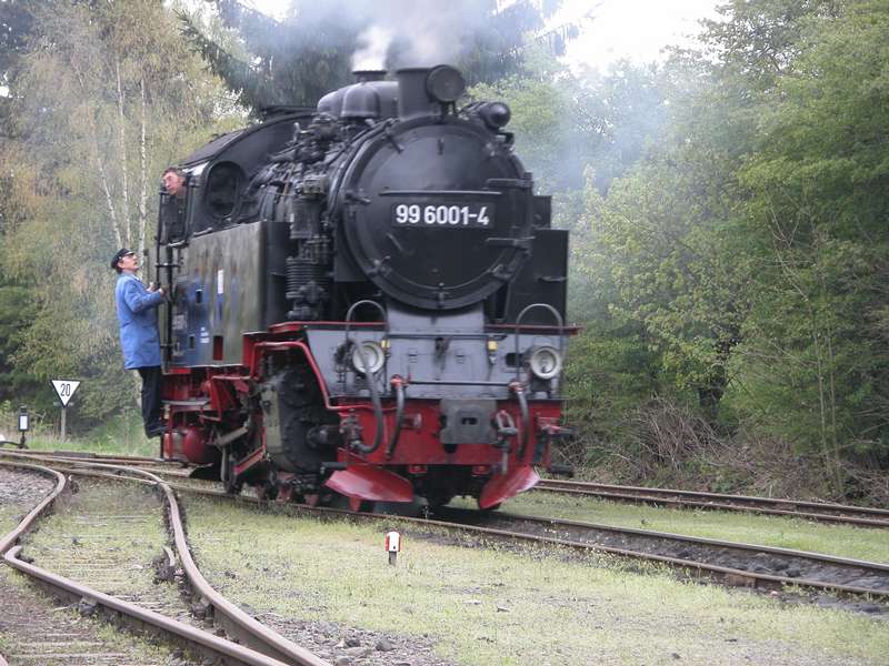 99-6001 in Hasselfelde