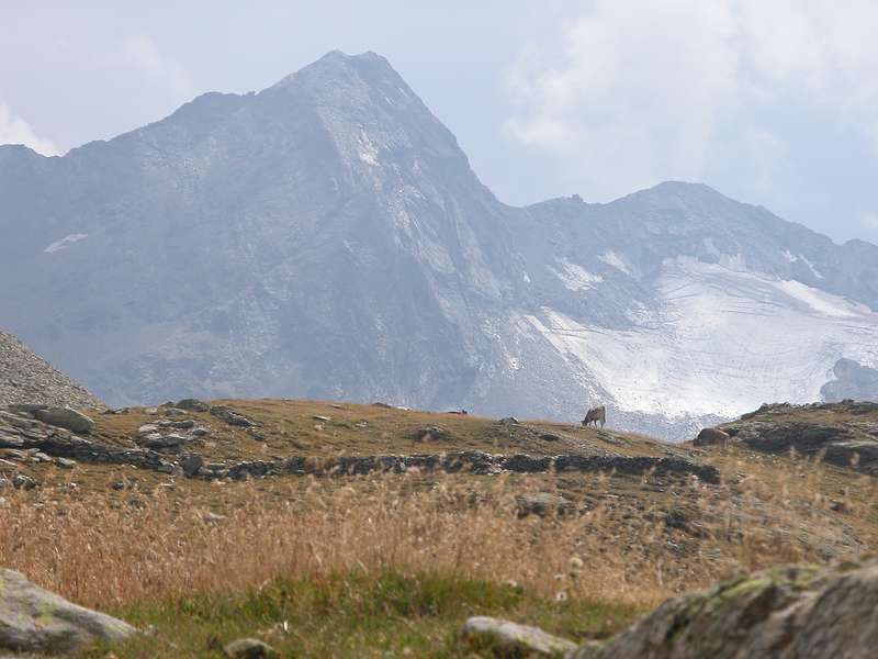 Impressionen vom Ospizio Bernina