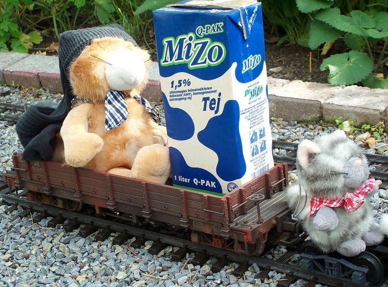 Vk mit Katzen