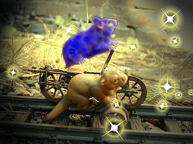 Hermann Hamster jetzt blau