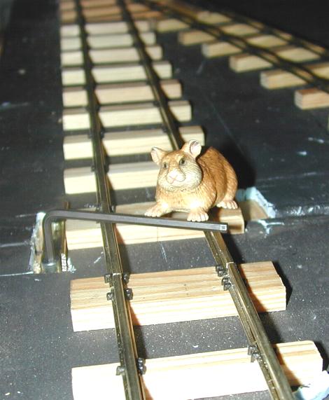 32mm Hermann am Imbus