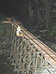 10Trestle_mit_Hamster_1_1.jpg