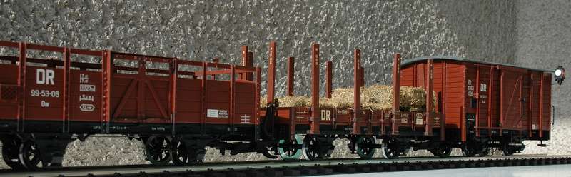 Spreewaldgüterwagen