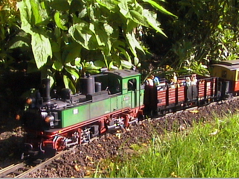 Traditionszug im Selketal