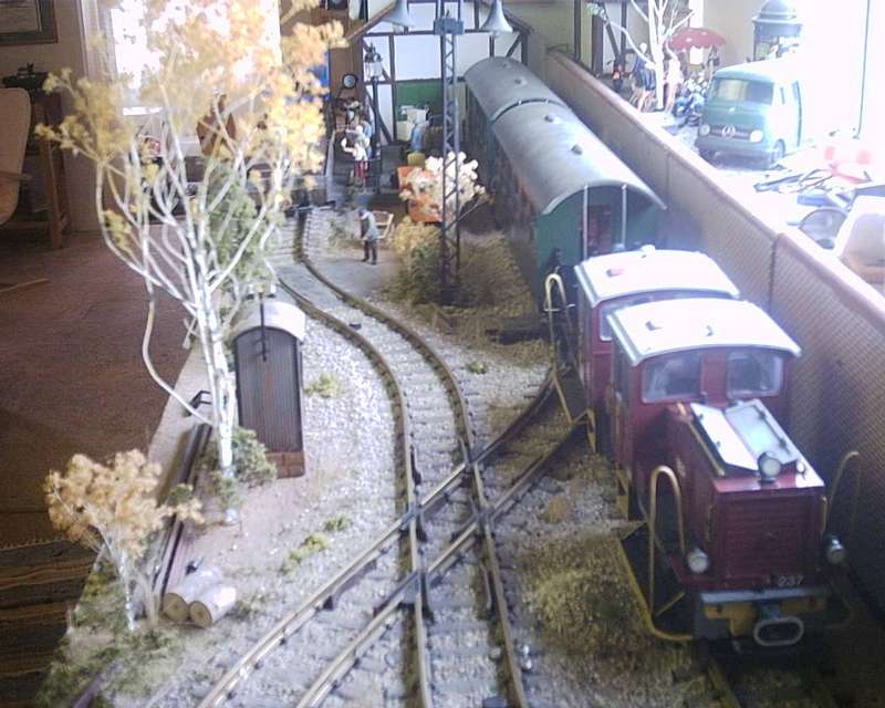 Bild