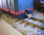 125ELIAS_mit_neuer_Kplg2.JPG