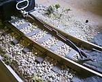 125Eigenbau_Kuppelstange_2.JPG
