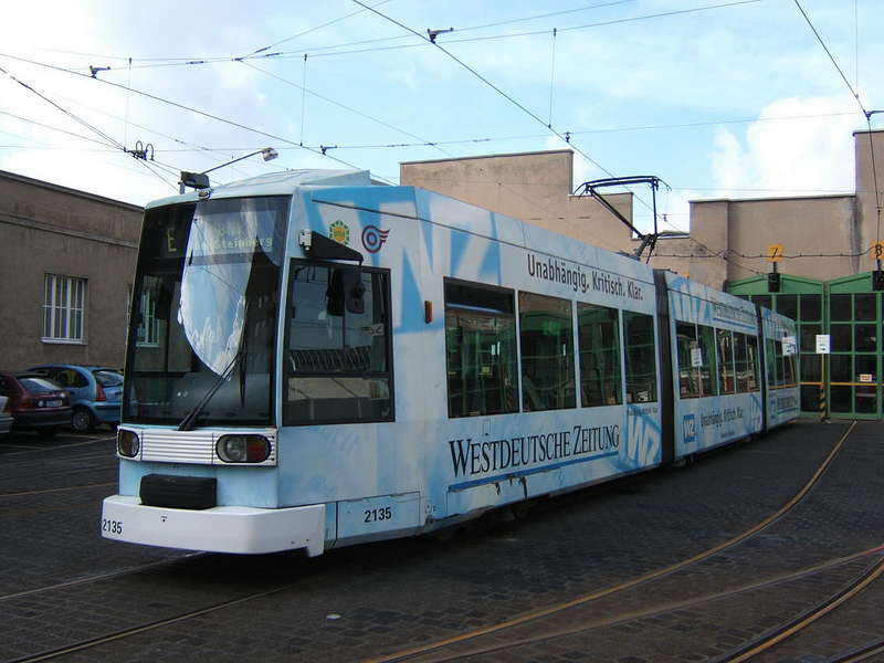 NF6-1