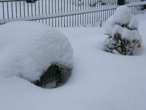 Winter3