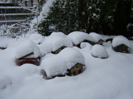 Winter5
