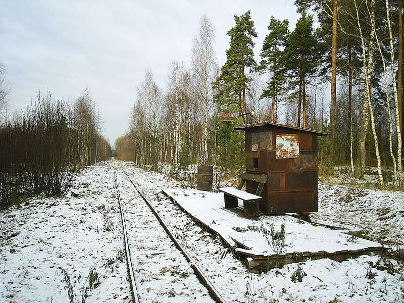 20071108_12207