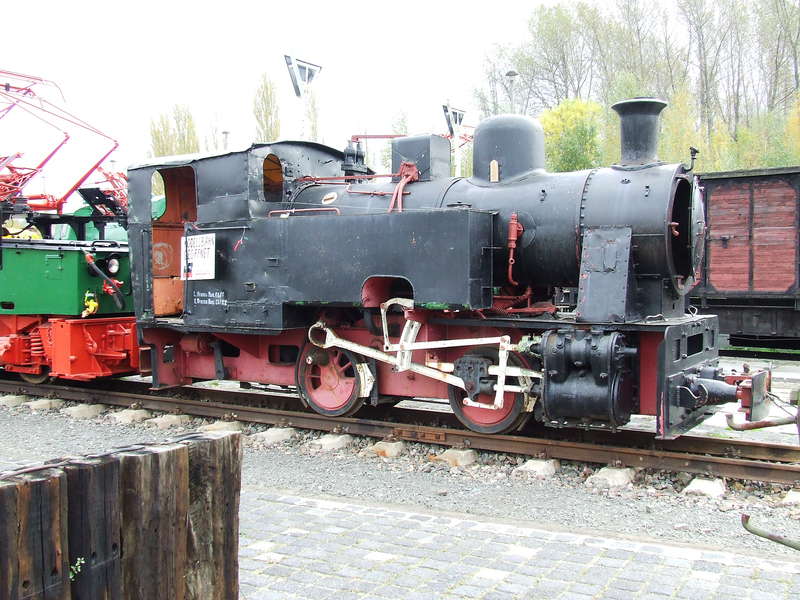 Wilde Hilde 2