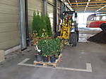 81DSCF0937.JPG