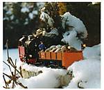 81Winter.jpg