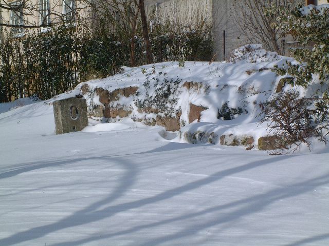 winter_3
