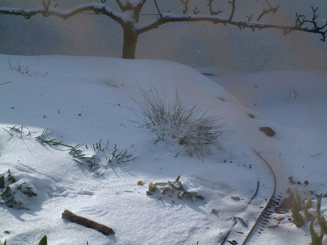 winter_5
