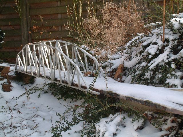 winter_6