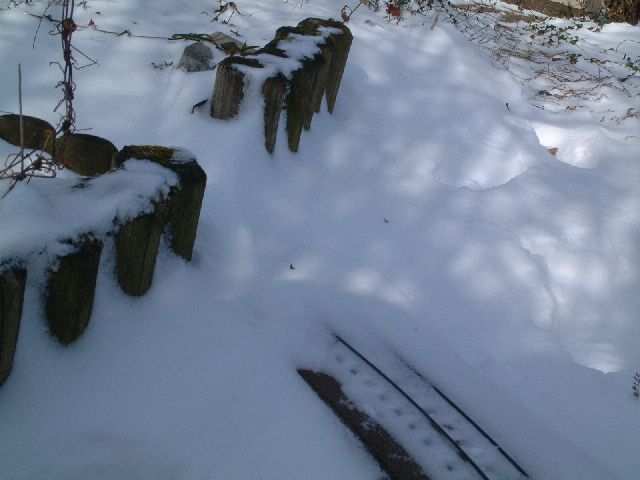winter_7