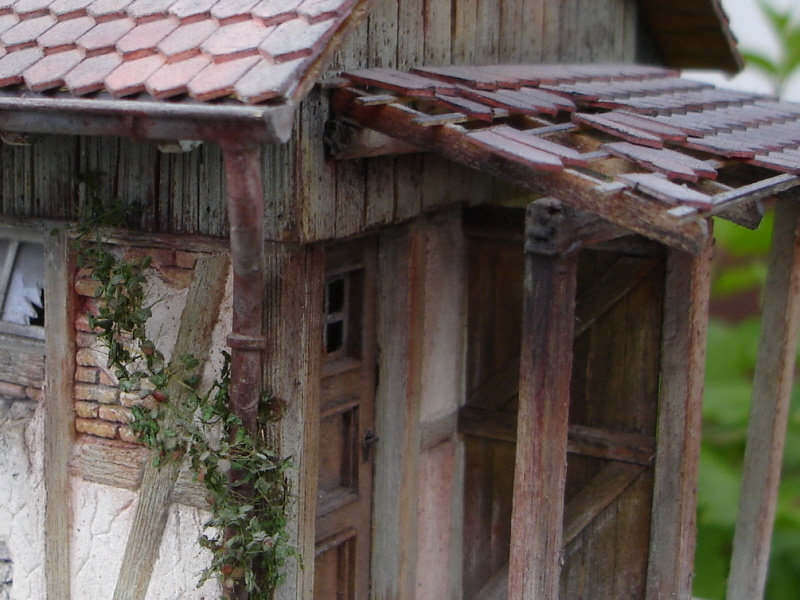 DSC00195w