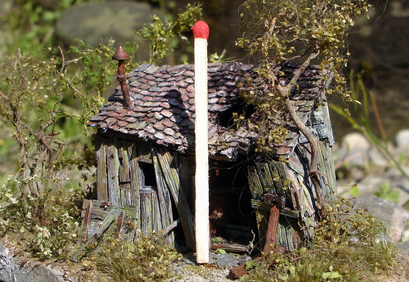schräger Schuppen01
