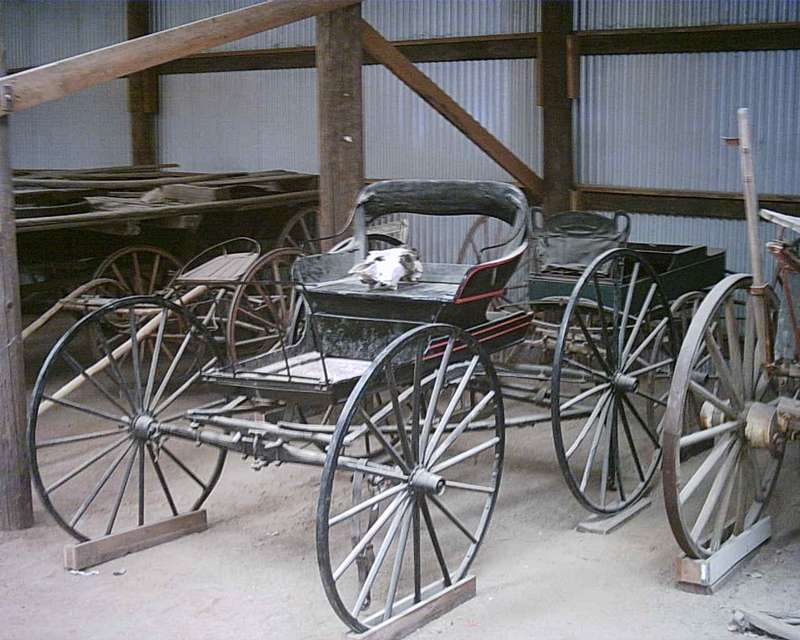 Buggy/Laws