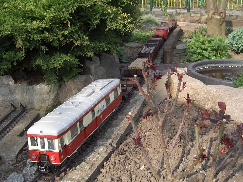 Buntbahnzug 2
