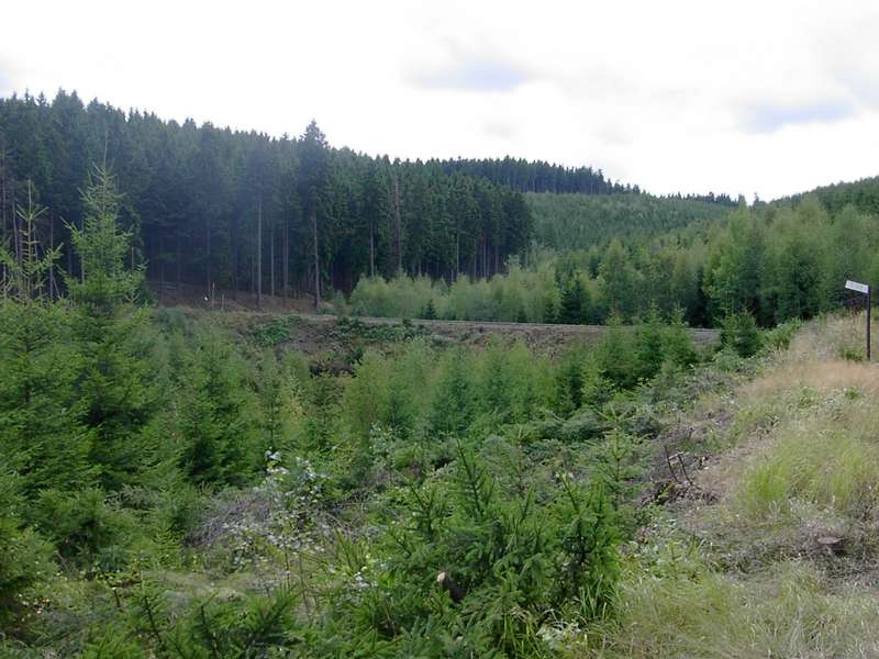 Fotokurve 2