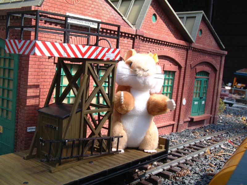 Hamsterzug4