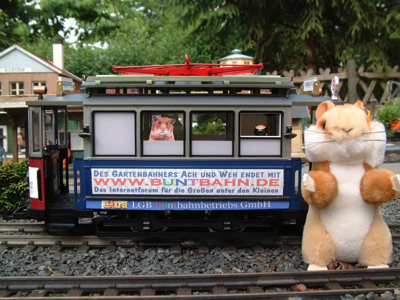 Hamsterzug9