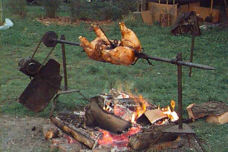 Schweinchen 1998