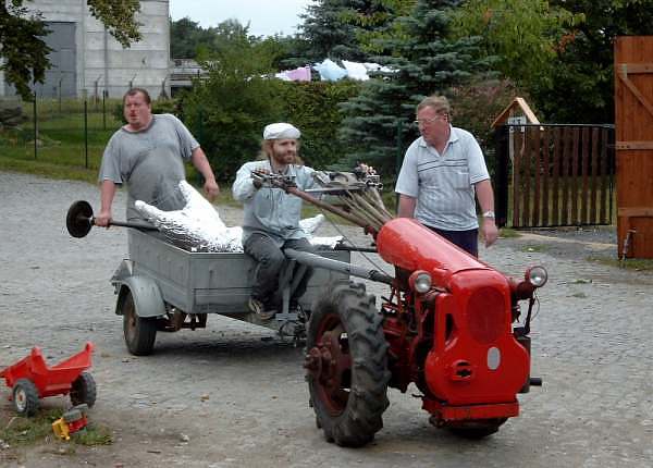 pig2003_01