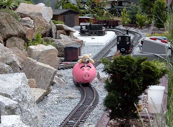 pig2003_08