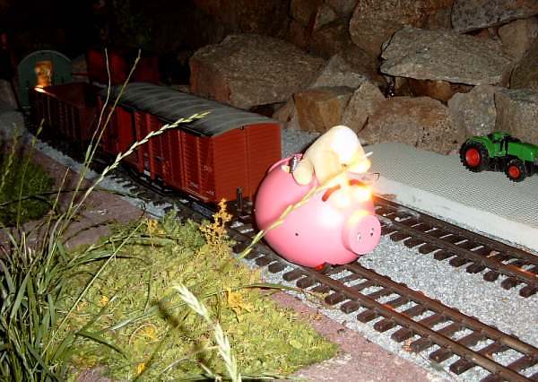 pig2003_10