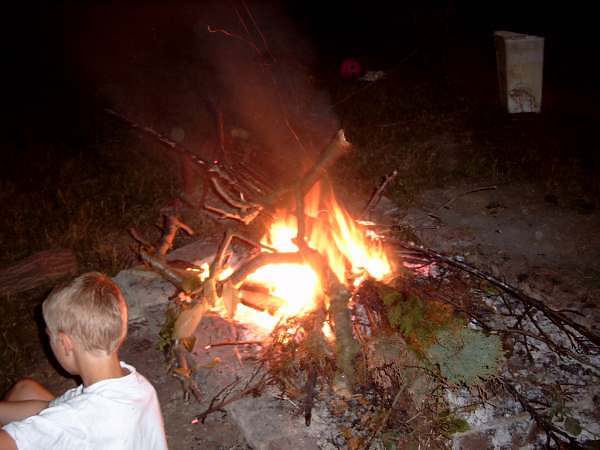 pig2003_11
