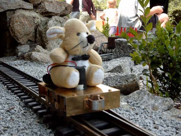 pig2003_12
