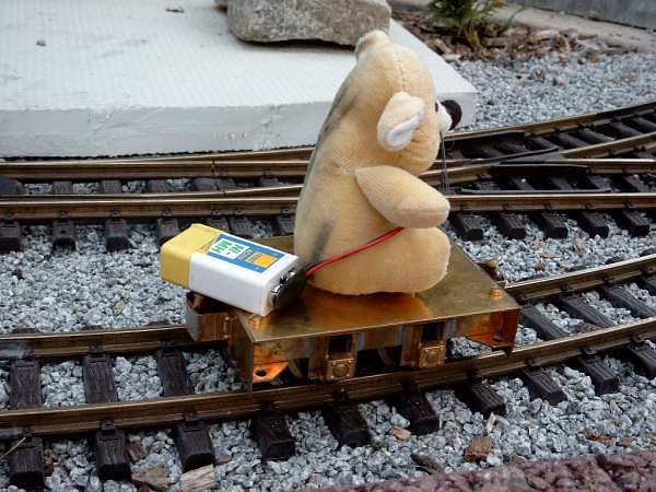 pig2003_13