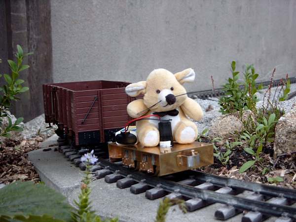 pig2003_14