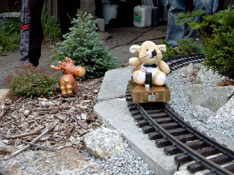 pig2003_21