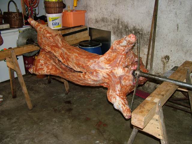 pig2005_2