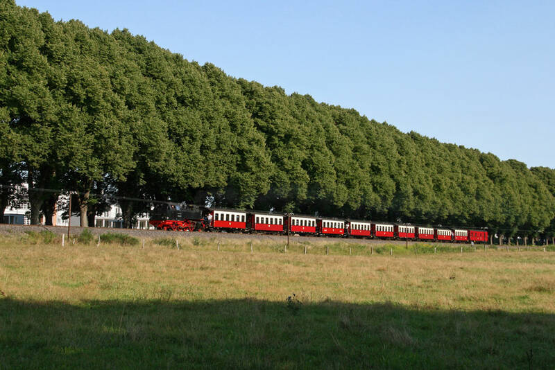 Entlang der Allee in Bad Doberan