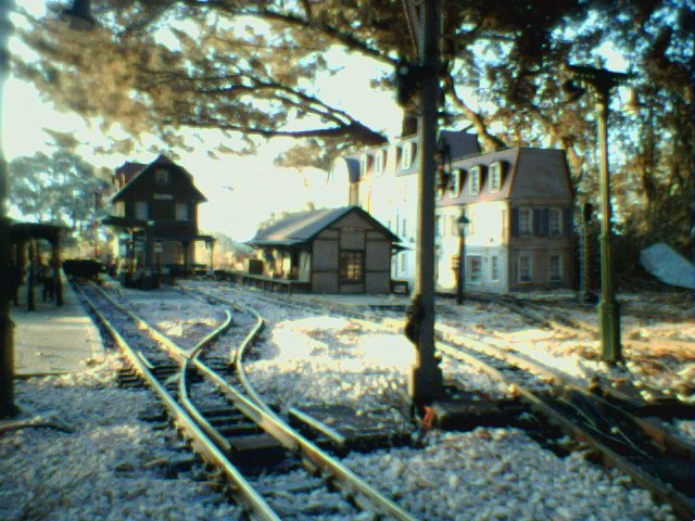 Sch_nweiler_mit_Schuppen