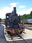 38WN11.jpg