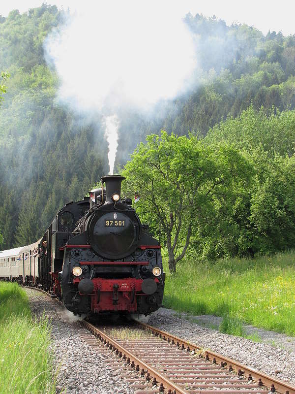 97501_SWB