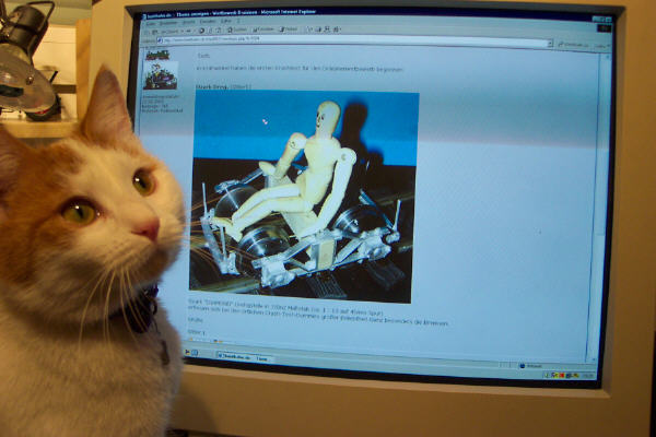 Buntbahnkatze
