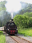 3897501_SWB.JPG
