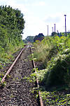 38gernrode.jpg