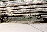 141Sonderfahrt_07_09_02_Bild_36.jpg