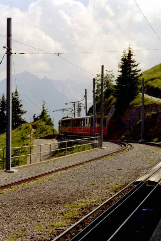 Einfahrt-Schynige-Platte1