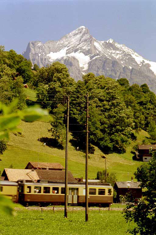 vor-Grindelwald1